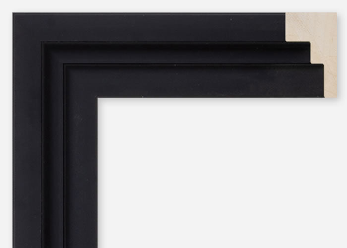 Picture Frame Step File Custom Step Floater Frame CFSQ10118 – Nation's Largest Custom Frames ...
