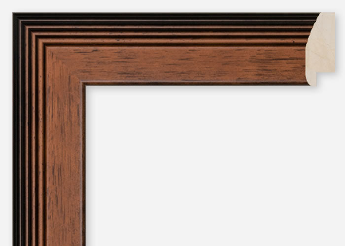 Custom Frame CFSQ10211