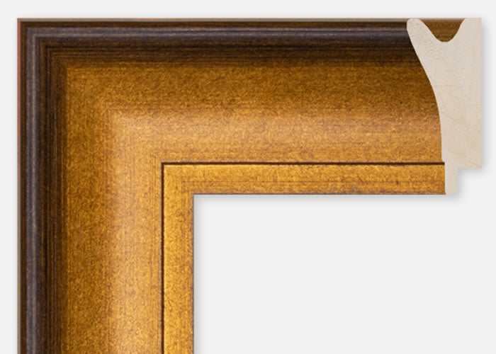 Custom Frame CFSQ10273