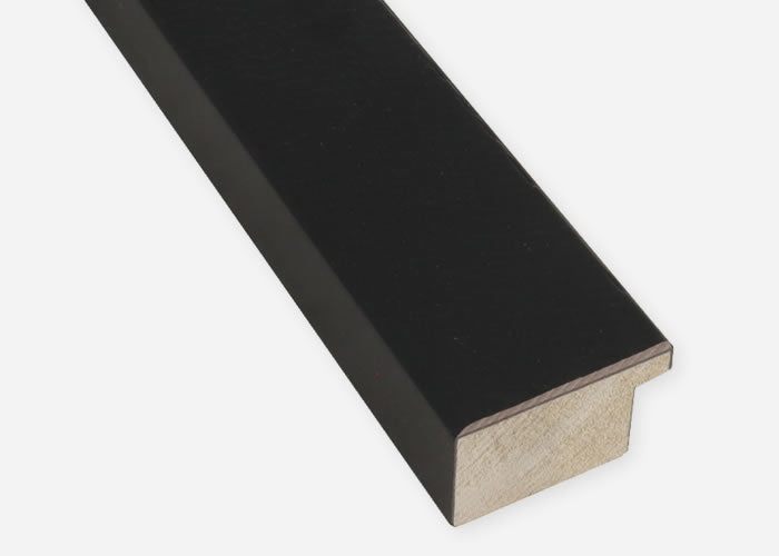 Custom Frame CFSQ10421