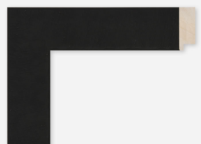 Custom Frame CFSQ10421