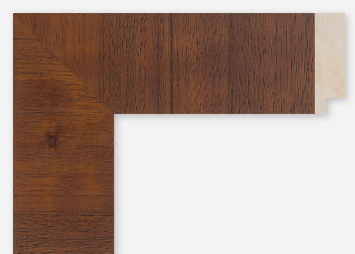 Custom Frame CFSQ10459