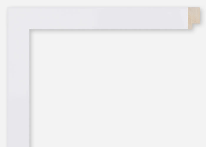 Custom Frame CFSQ10806