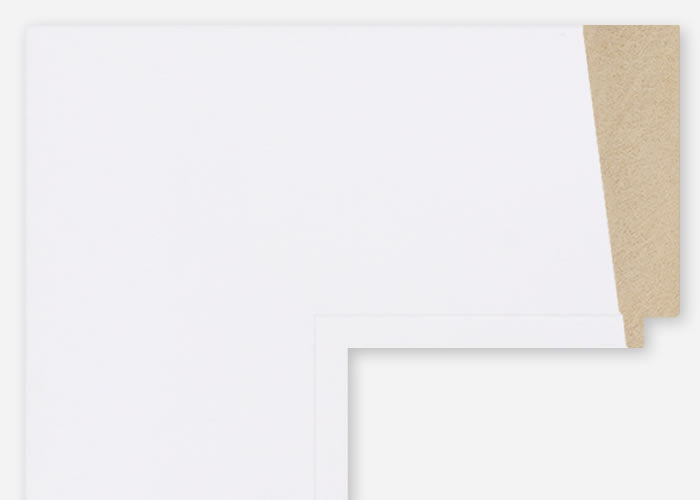 Custom Frame CFSQ10925