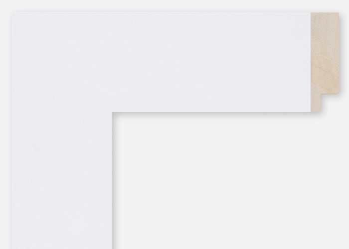 Custom Frame CFSQ10988