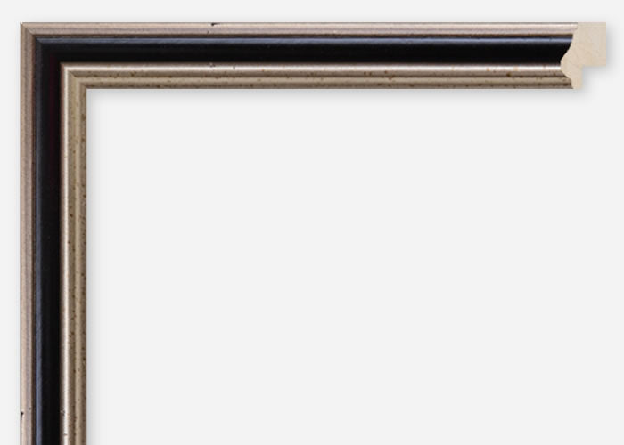 Custom Frame CFSQ2016