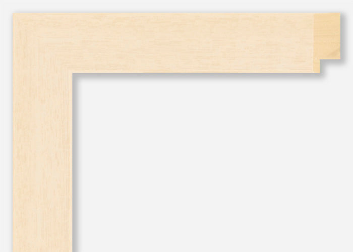 Custom Frame CFSX2440-50