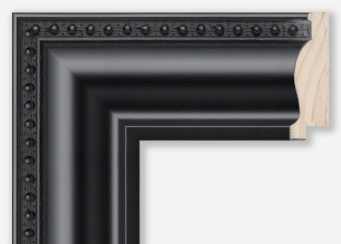 Custom Frame CFSX300-805