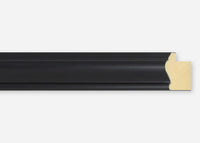 Custom Frame CFSX305-910