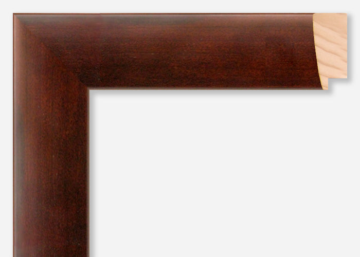 Custom Frame CFSX365-20