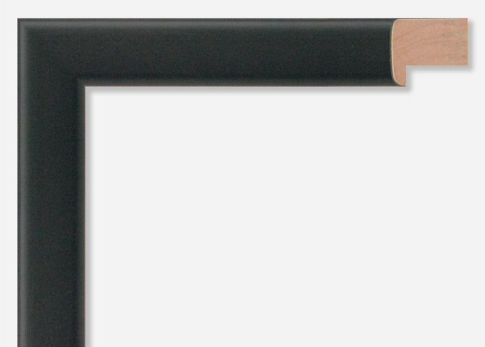 Custom Frame CFSX390-45