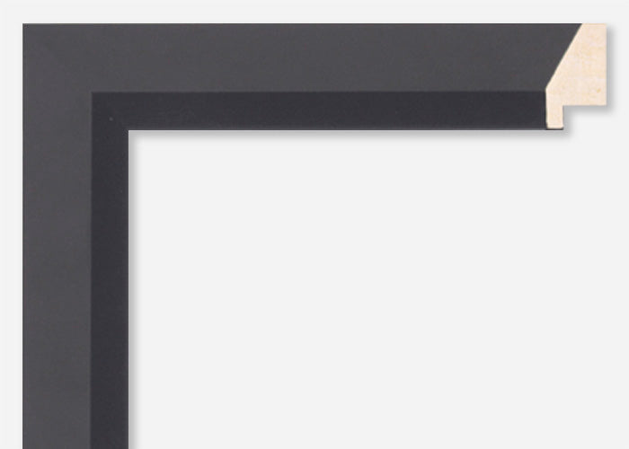 Custom Frame CFSX480-10