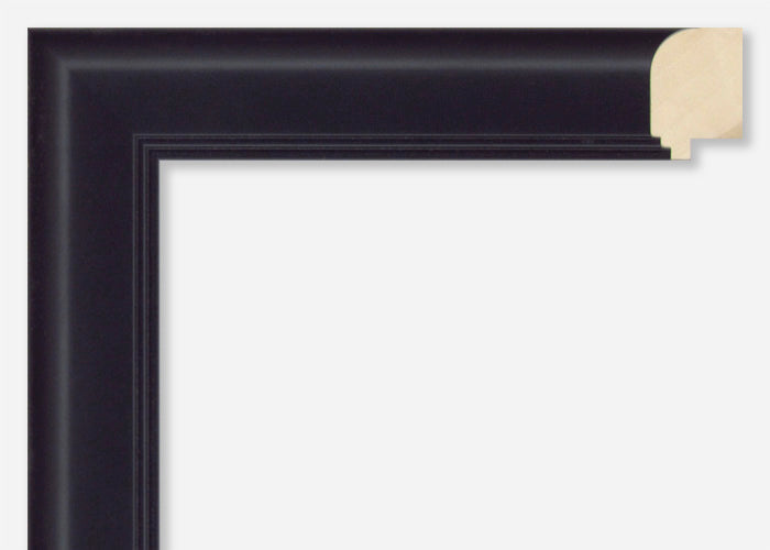 Custom Frame CFSX480-20