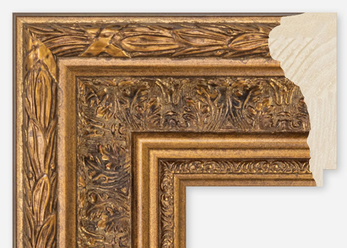 Custom Frame CFSQ5029x