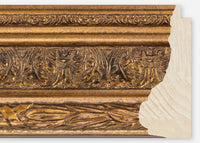 Custom Frame CFSQ5029x