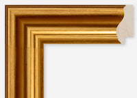 Custom Frame CFSQ6521
