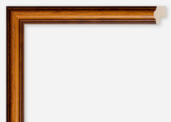 Custom Frame CFSQ6558