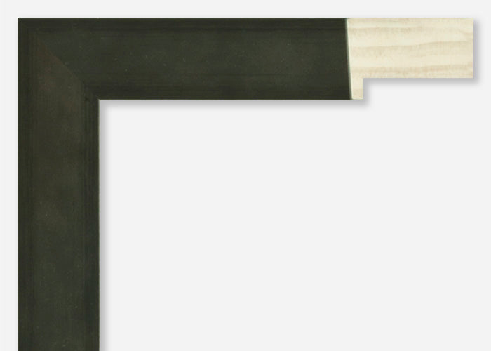 Custom Frame CFSZ8868