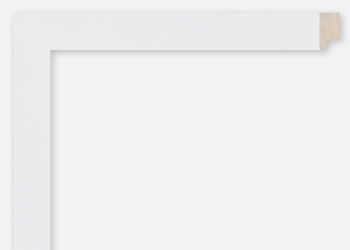 Custom Frame CFSQ8989