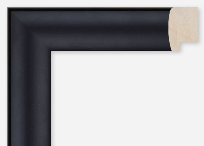 Custom Frame CFSQ9688