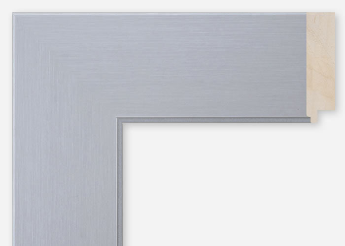 Custom Frame CFSQ9861