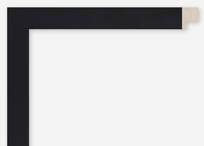 Custom Frame CFSQ9919