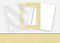 Standard Pkg 337: Glass, Foamboard, Mat #C967 (Med Gold Florentine) with 2 inch Border