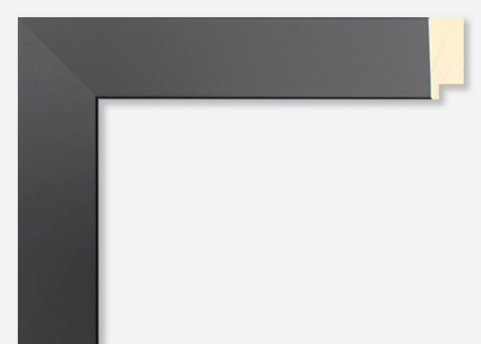 Flexmod Custom Frame Custom Frame CFSYG2310 – Nation's Largest Custom Frames Supplier ...