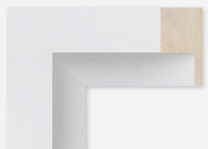 Custom Floater Frame CFSYN7811