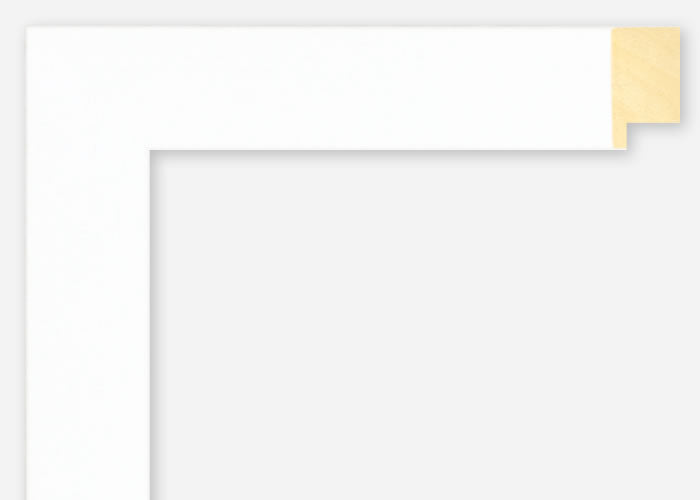 Custom Frame CFSX305-755