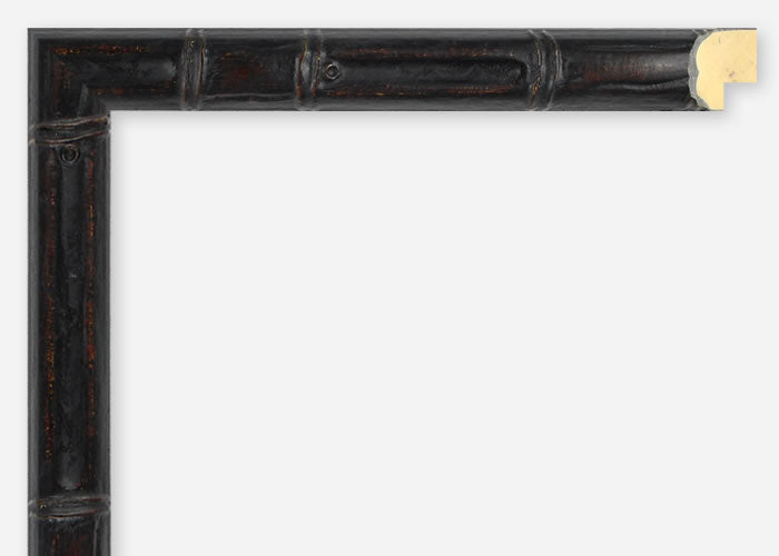 Custom Frame CFSX1300-895