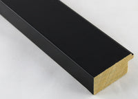 Custom Frame CFSX2410-80