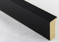 Custom Frame CFSX2420-35