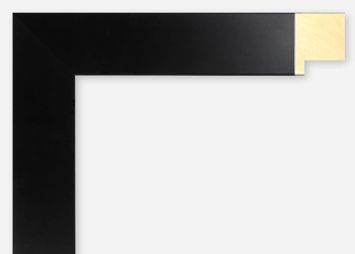 Custom Frame CFSX300-845