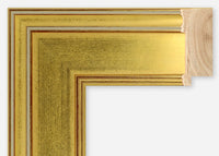 Custom Frame CFSX395-20