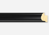 Custom Frame CFSX2420-25