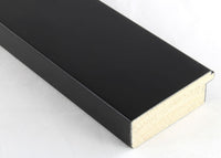 Custom Frame CFSYN4010