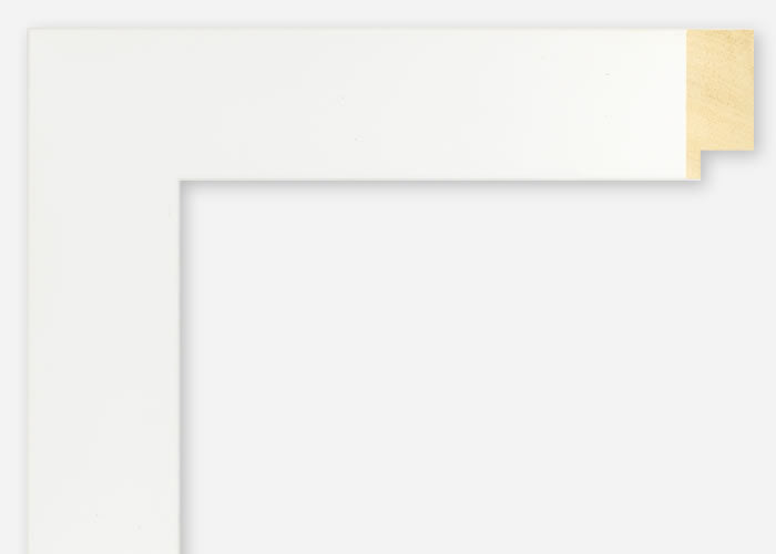 Custom Frame CFSX2420-55