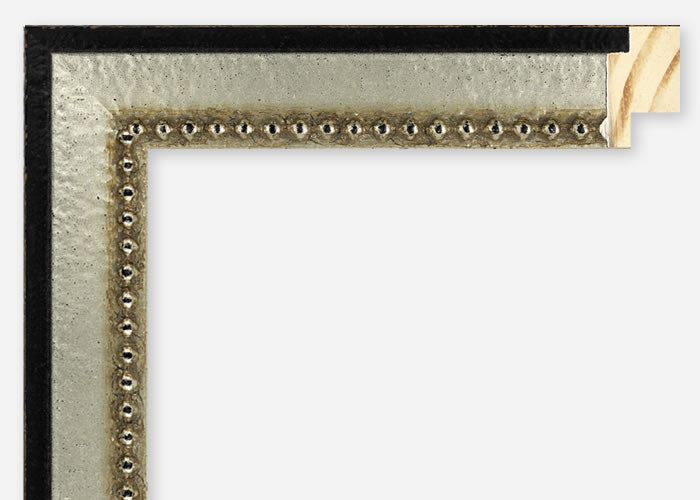Custom Frame CFSZ8786