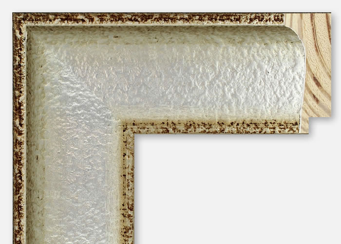 Custom Frame CFSZ8789