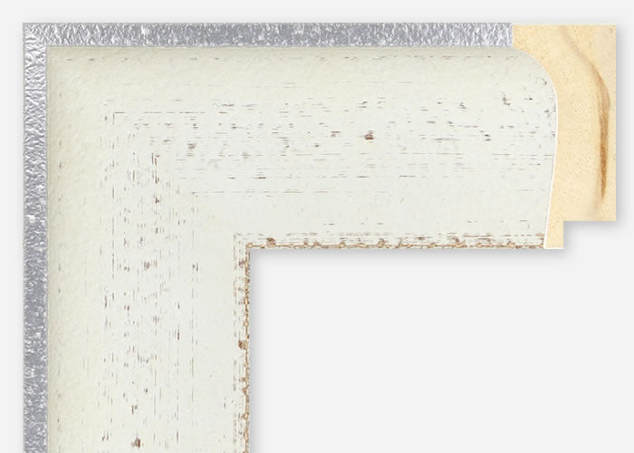 Custom Frame CFSZ8790