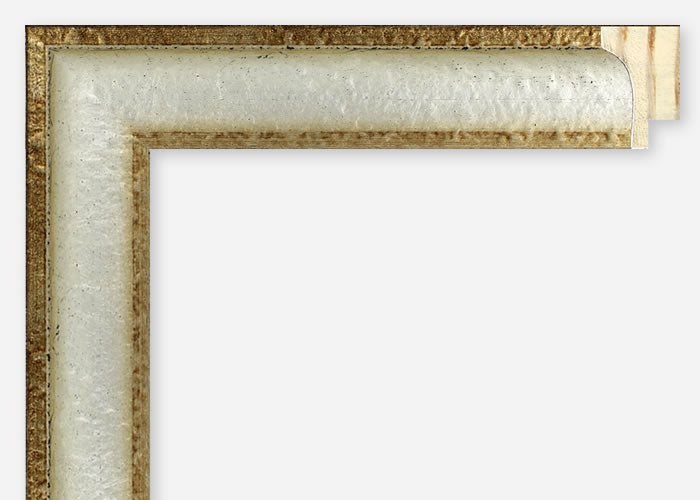 Custom Frame CFSZ8793