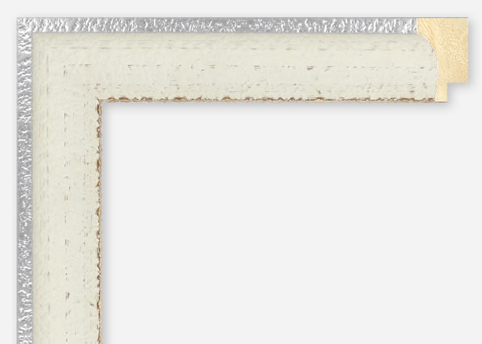 Custom Frame CFSZ8794