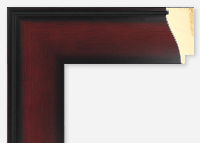 Custom Frame CFSYBR4513