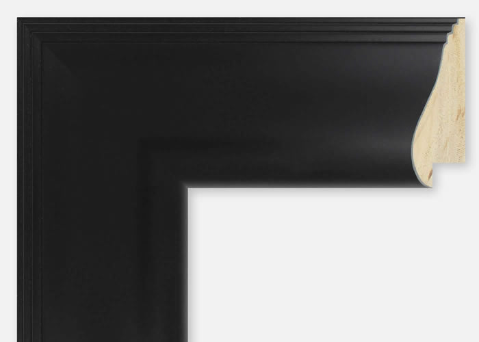 Custom Frame CFSYN2210