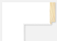 Custom Frame CFSYN4011