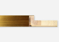 Custom Frame CFSX1100-60
