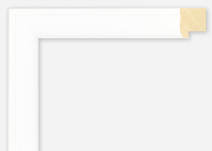 Custom Frame CFSX2420-15