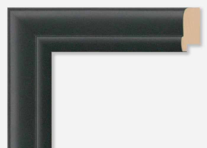 Custom Frame CFSX390-90